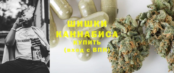 PSILOCYBIN Бородино